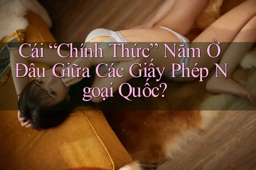 Cái “Chính Thức” Nằm Ở Đâu Giữa Các Giấy Phép Ngoại Quốc?