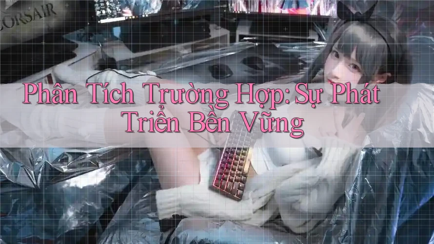 Phân Tích Trường Hợp: Sự Phát Triển Bền Vững