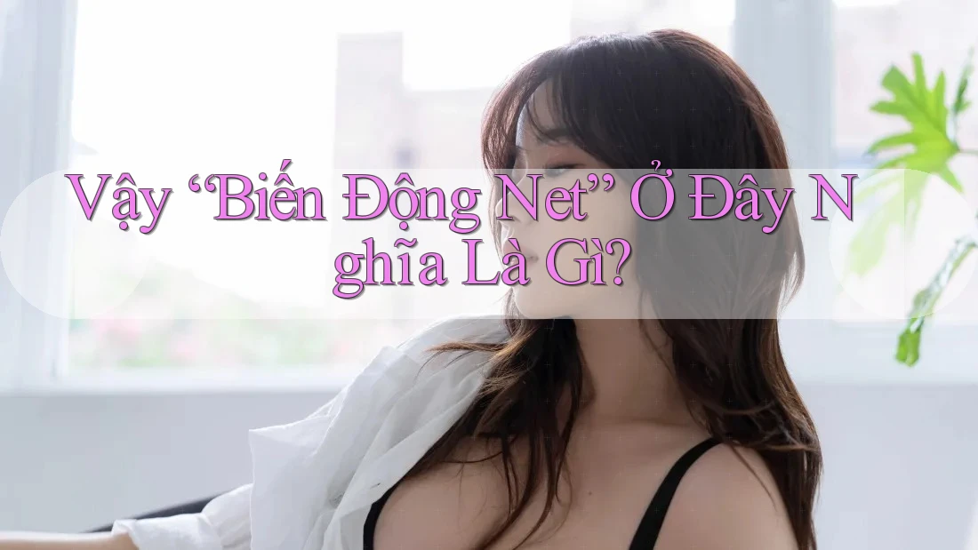 Vậy “Biến Động Net” Ở Đây Nghĩa Là Gì?